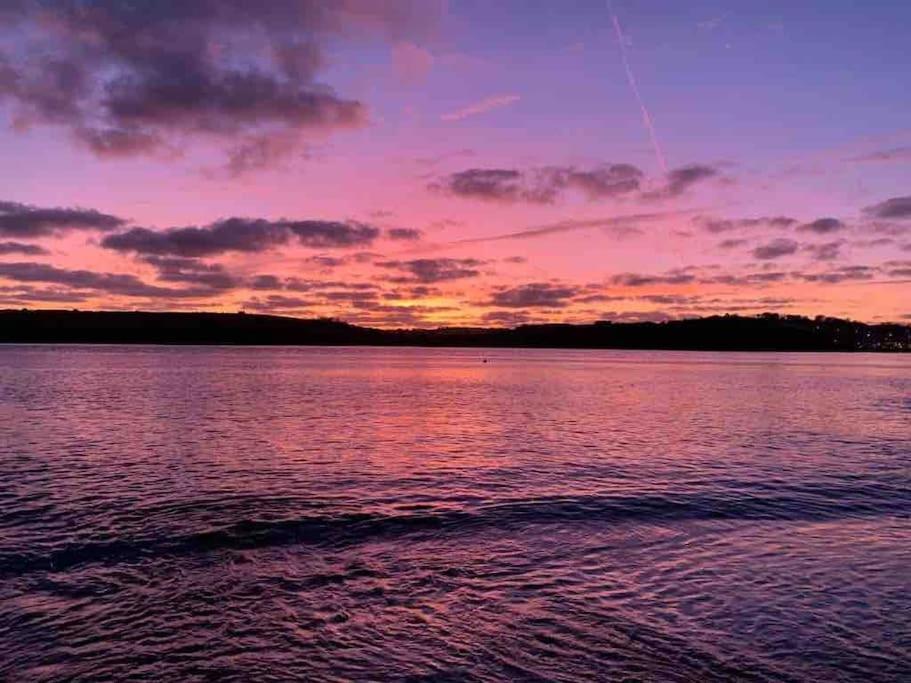 The Bird House - Coastal Lodge In Lovely Forest Setting Nr. Kinsale Cork Extérieur photo