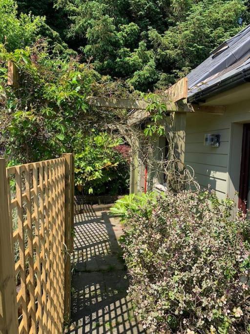 The Bird House - Coastal Lodge In Lovely Forest Setting Nr. Kinsale Cork Extérieur photo